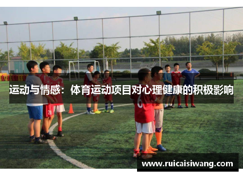 运动与情感：体育运动项目对心理健康的积极影响